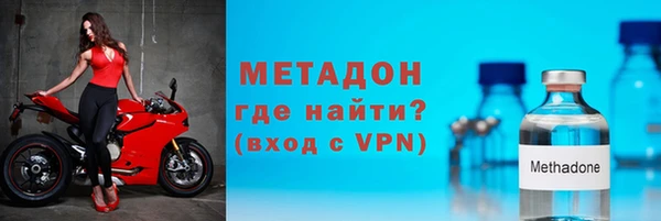 прущие грибы Инта