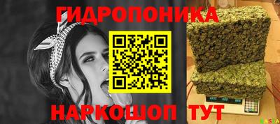 шишки Апшеронск