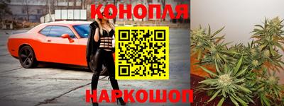 шишки Апшеронск
