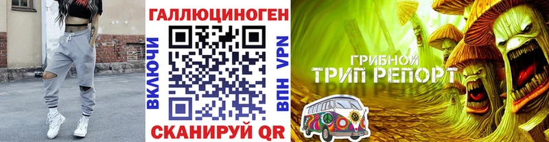кракен вход Ахтубинск Галлюциногенные грибы Cubensis