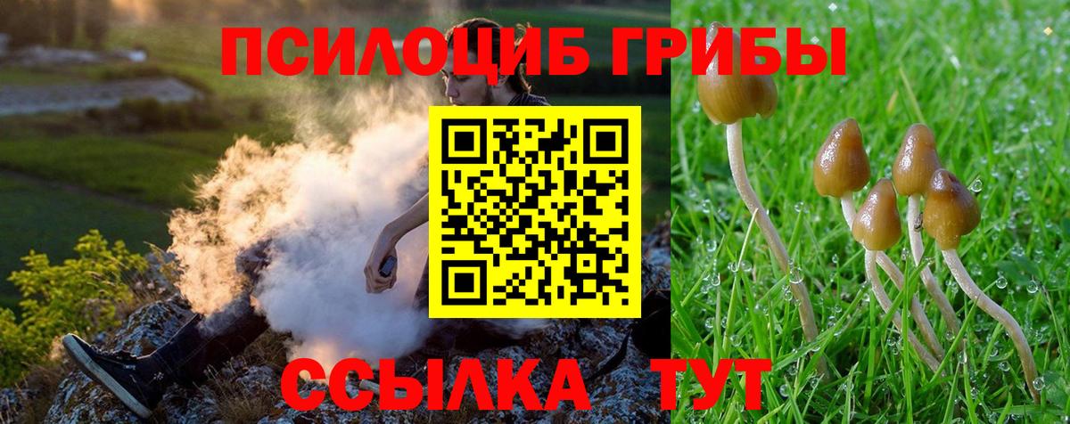 Ахтубинск  Псилоцибиновые грибы Magic Shrooms  Вход с VPN 