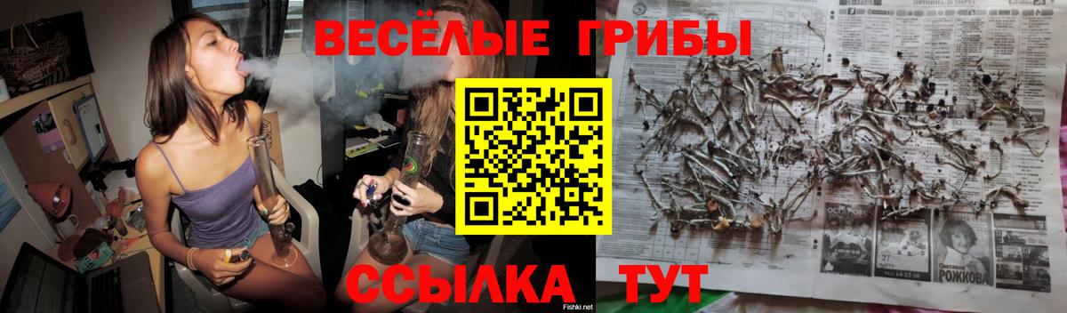 Псилоцибиновые грибы мухоморы  Ахтубинск 